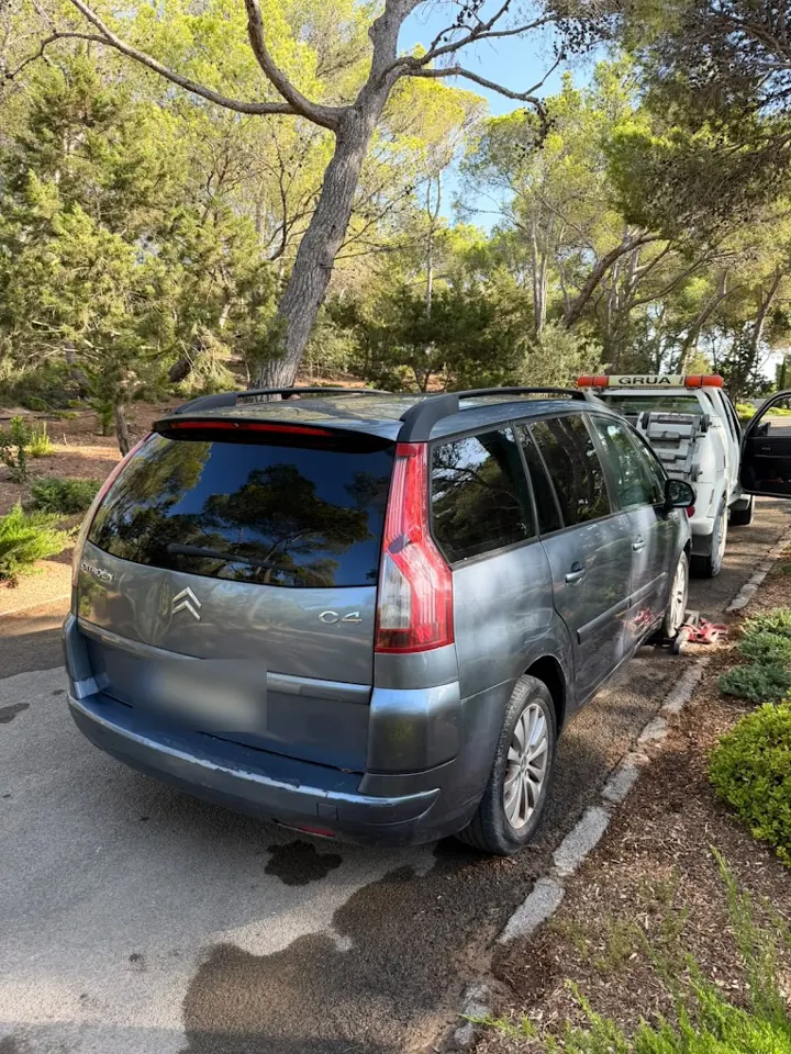 Monovolumen esperando la grúa junto a la carretera